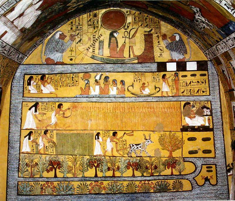 Harvest Scene on the East Wall Tomb of Sennedjem - Egypt Museum