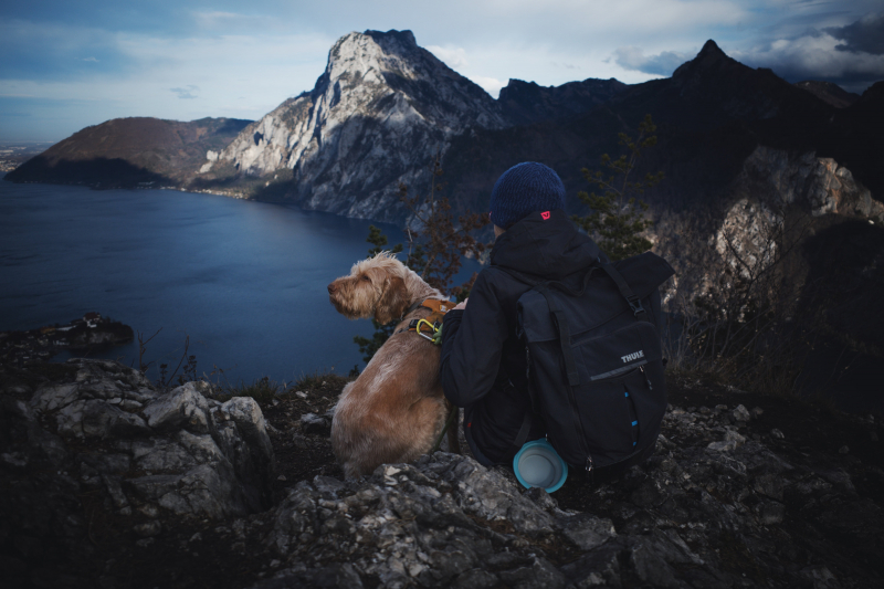 Photo by Andreas Schnabl : https://www.pexels.com/photo/a-person-sitting-on-a-rocky-mountains-with-a-dog-and-looking-at-the-view-19487304/