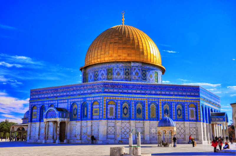 https://israelshield.blogspot.com/2014/06/why-dome-of-rock-must-come-down.html