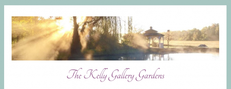 https://thekellygallery.com/