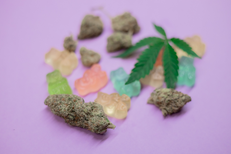 Photo by Kindel Media: https://www.pexels.com/photo/close-up-photo-of-cannabis-bud-7667737/