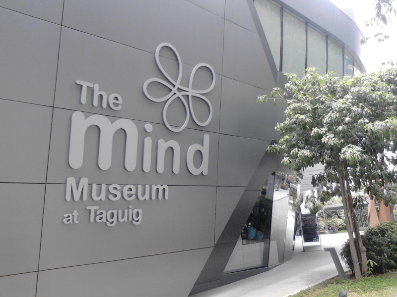 The Mind Museum