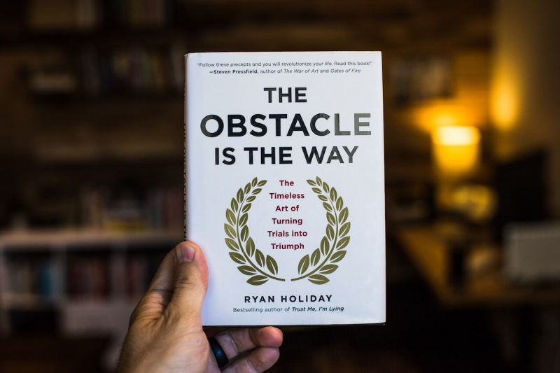 The Obstacle is the Way﻿