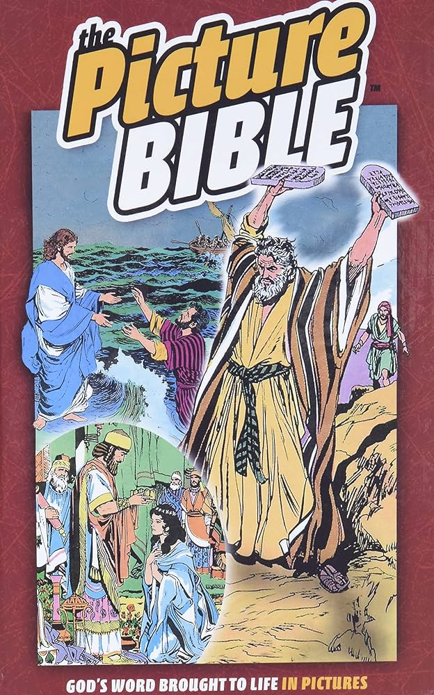 Screenshot of https://www.amazon.com/s?k=%22The+Picture+Bible%22+by+Iva+Hoth&i=stripbooks-intl-ship&crid=377N06Y9WRSZB&sprefix=the+picture+bible+by+siku%2Cstripbooks-intl-ship%2C905&ref=nb_sb_noss