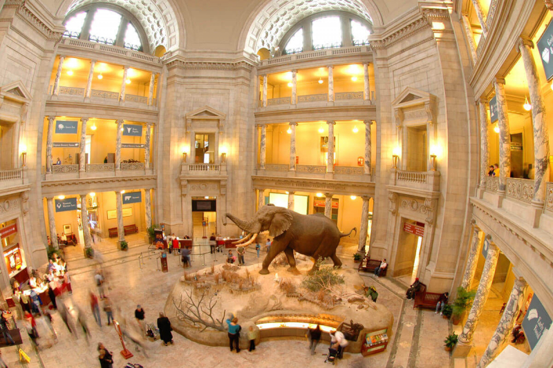 The Smithsonian, the world’s largest museum complex Photo: trolleytours.com