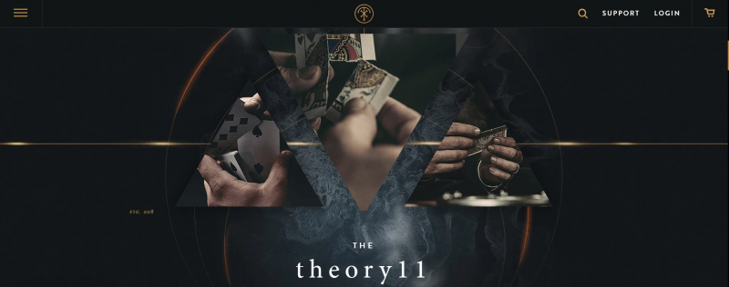 Screenshot of https://www.theory11.com/beginner-magic
