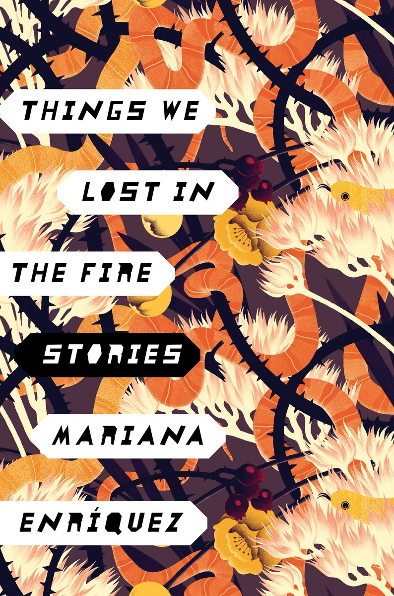 Screenshot of https://www.goodreads.com/book/show/30375706-things-we-lost-in-the-fire