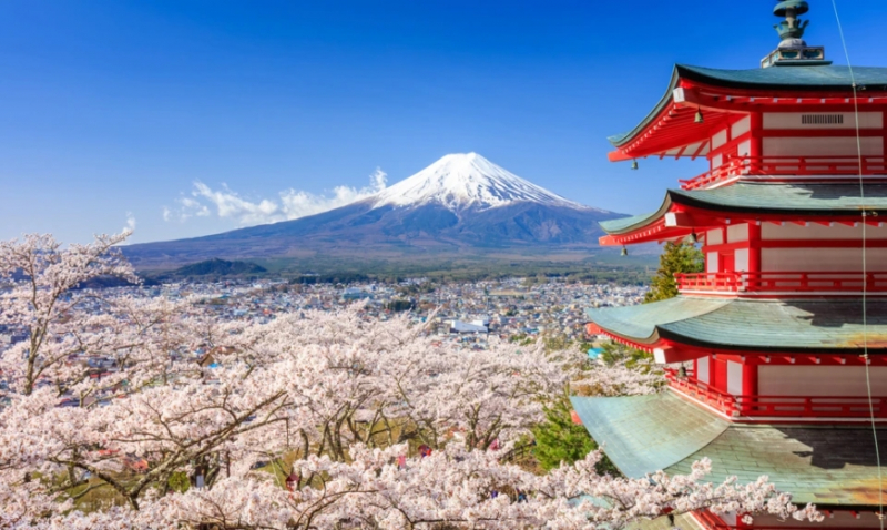 With added cherry blossoms (Dreamstime)