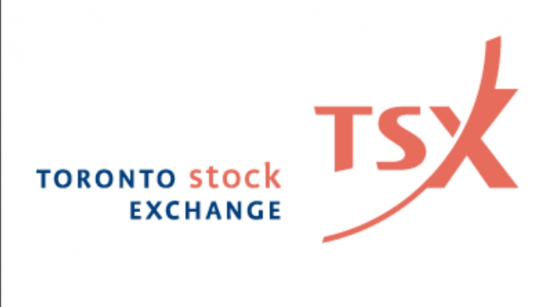 TSX 2021 Logo