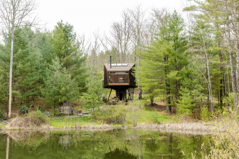 Treehouse cabin in Willow, NY
