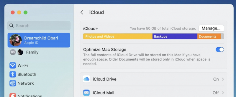 Use iCloud Progressively