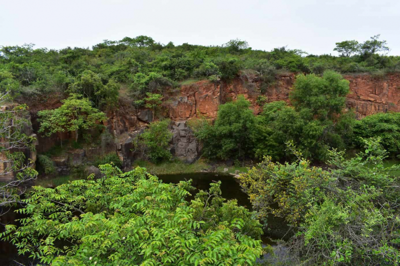 Vandalur Reserve forest