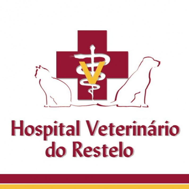 Screenshot of https://www.hospitalveterinario.pt/pt/home