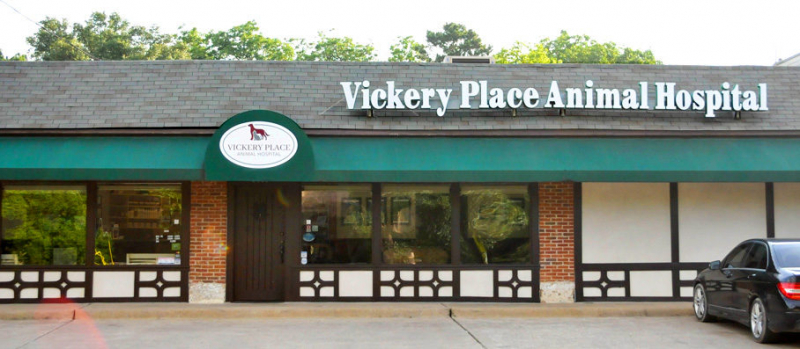 Vickery Place Animal Hospital. Photo: vickeryplaceanimalhospital.com