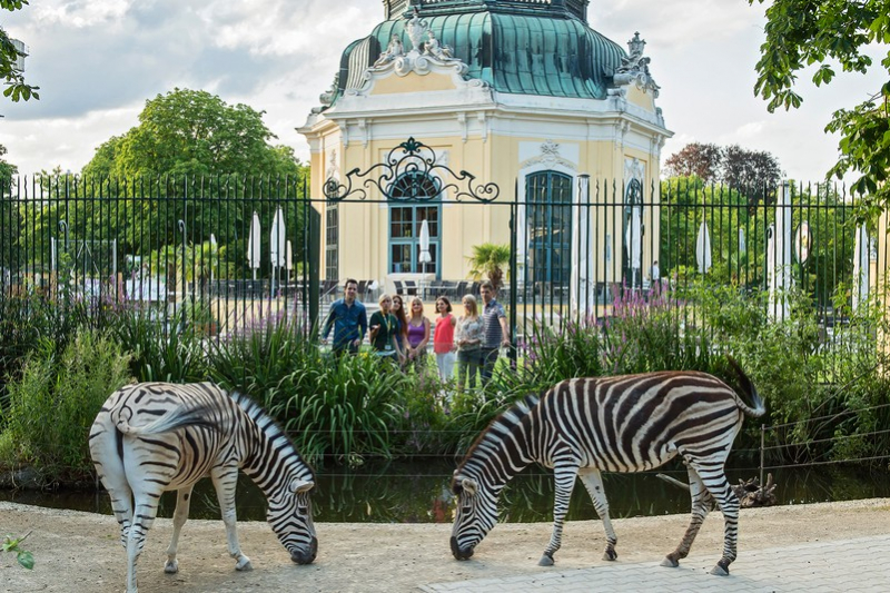 Vienna Zoo (Tiergarten Schönbrunn)