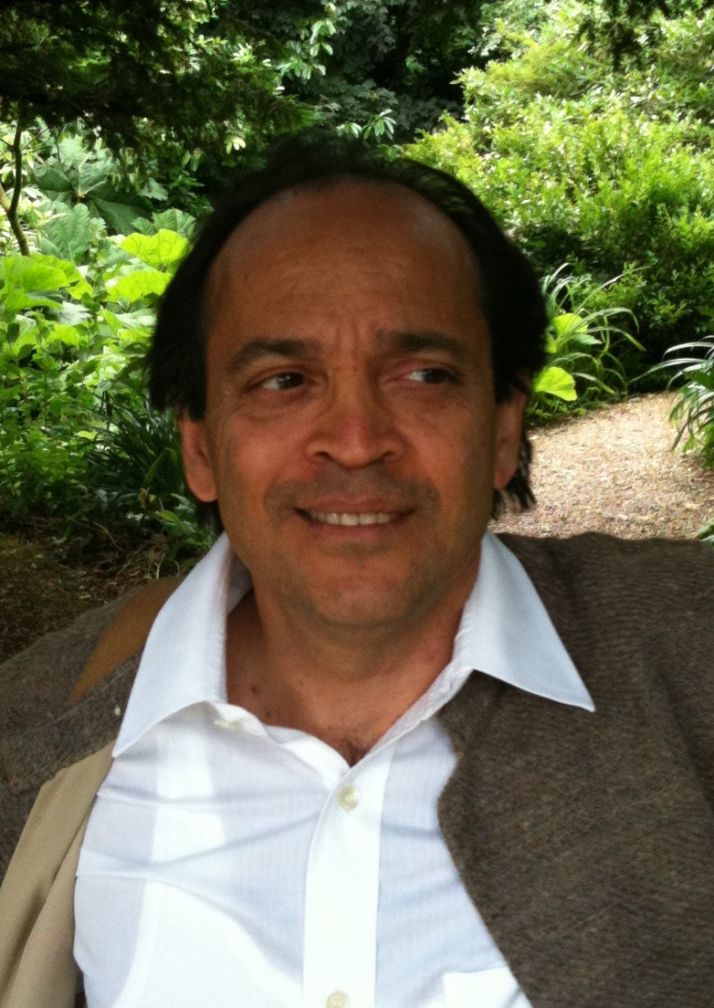 Photo on  Wikimedia Commons (https://commons.wikimedia.org/wiki/File:Vikram_Seth,_in_Oxfordshire_%28cropped%29.jpg)