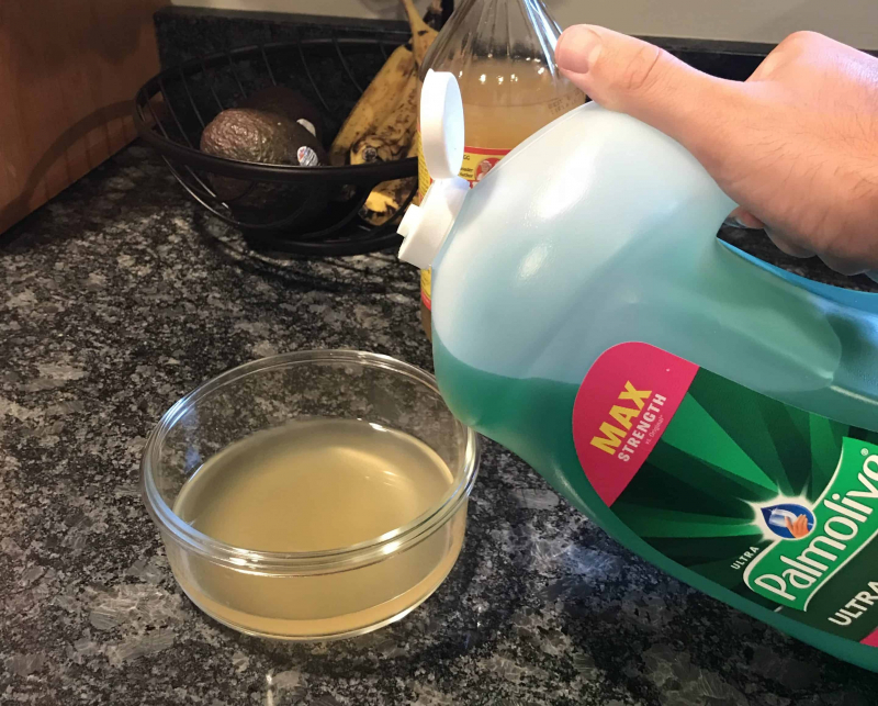 Vinegar and dishwashing liquid