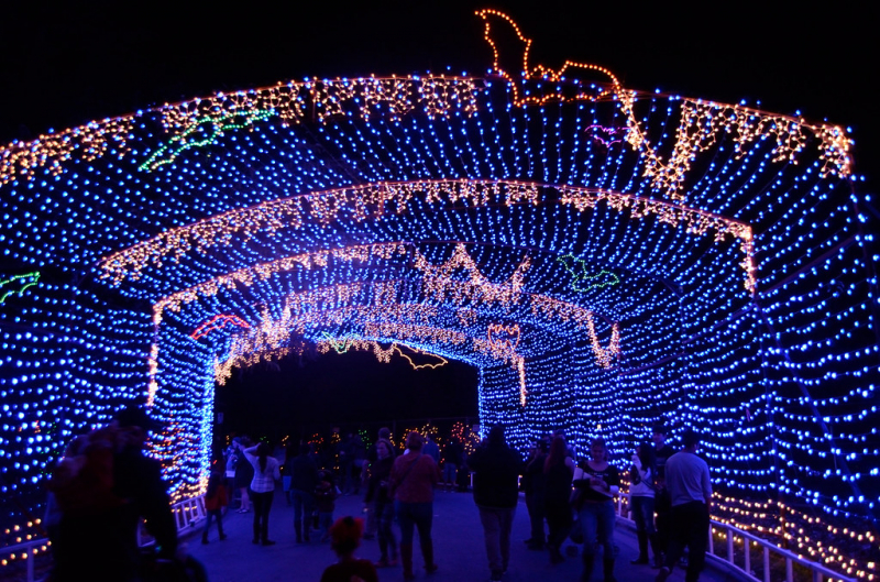 Walk the Trail of Lights in Austin