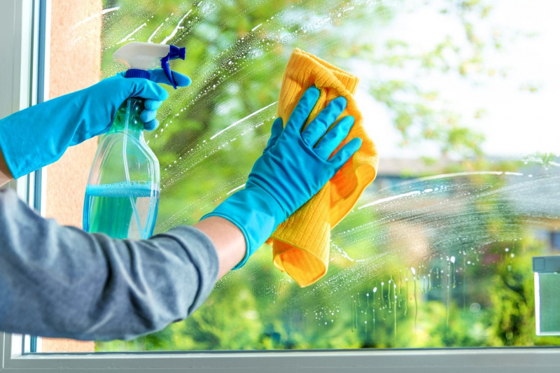 Wash Your Windows and Doors