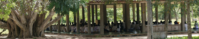 Photo:  www.suanmokkh-idh.org Suan Mokkh International Dharma Hermitage