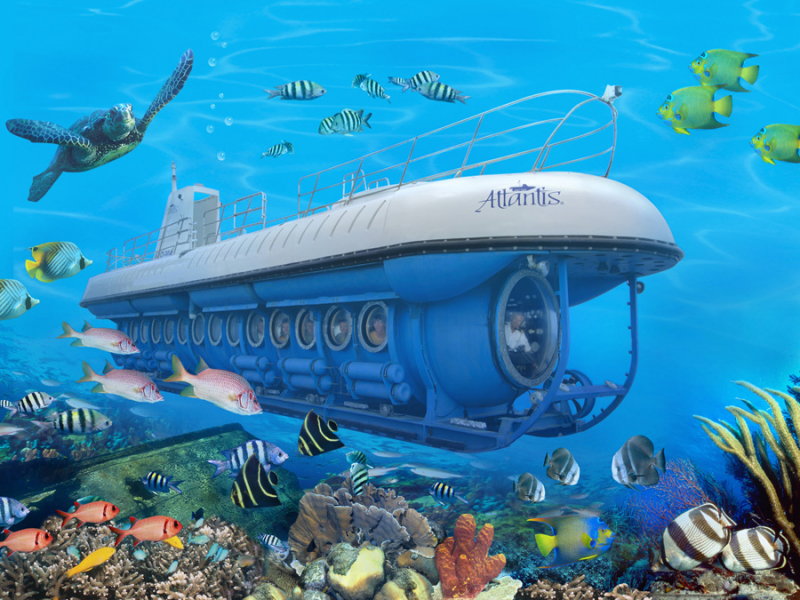 Whale Submarine. Photo: sandgatemaldives.com