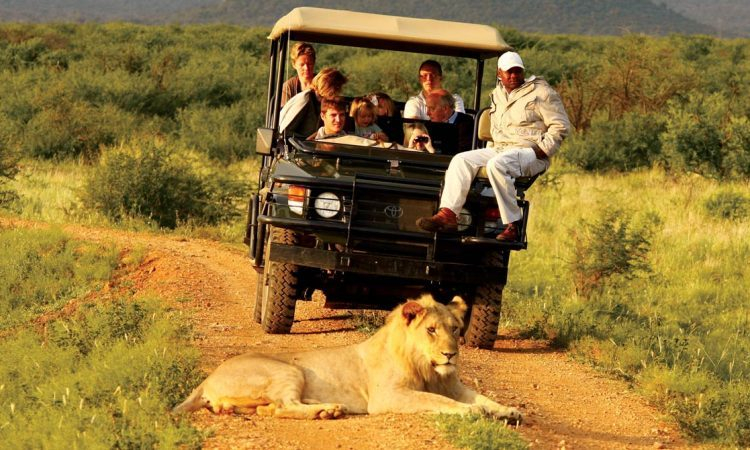 Photo: safaris-uganda.com