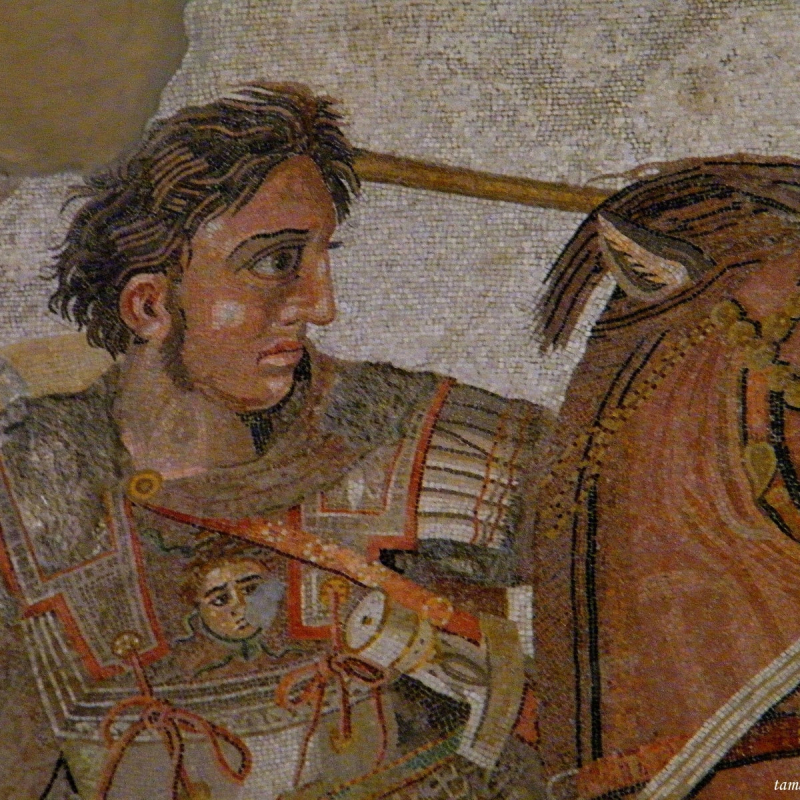 Photo:  www.history.com - Alexander the Great