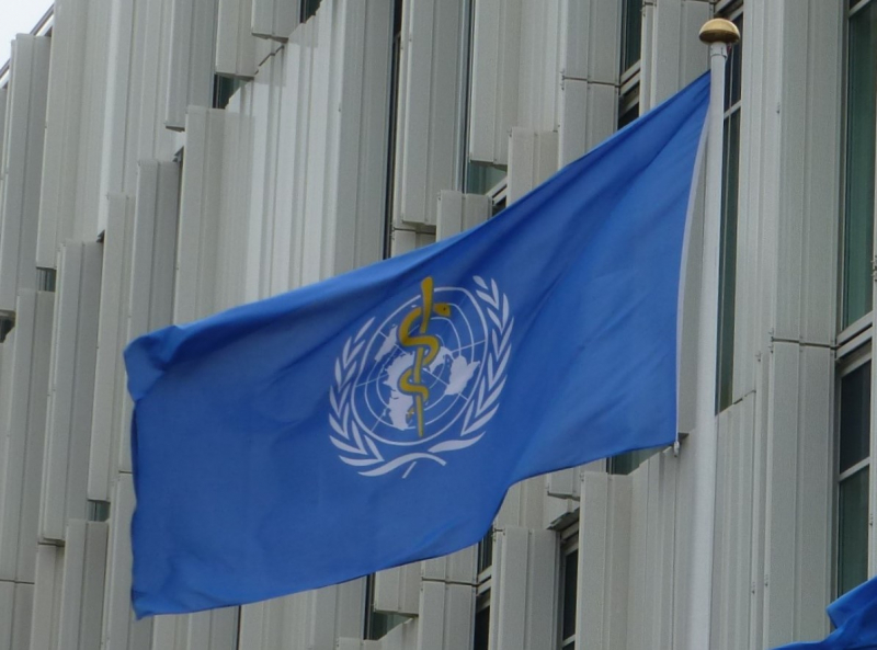 Image from https://commons.wikimedia.org/wiki/File:Flag_of_World_Health_Organization_at_UN_City.JPG