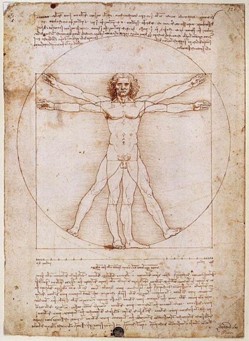 Photo: Leonardo da Vinci, Vitruvian Man, c. 1490, Gallerie dell’Accademia, Venice, Italy - owlcation.com