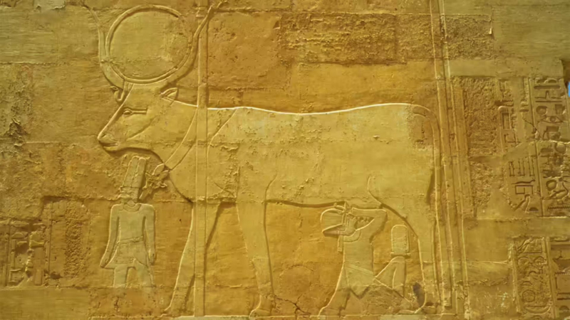 Ancient Egyptian heiroglyphics adorn the walls of the Temple of Queen Hatshepsut near Luxor, Deir El-bahri, Egypt. - WOLFGANG KAEHLER/LIGHTROCKET/GETTY IMAGES