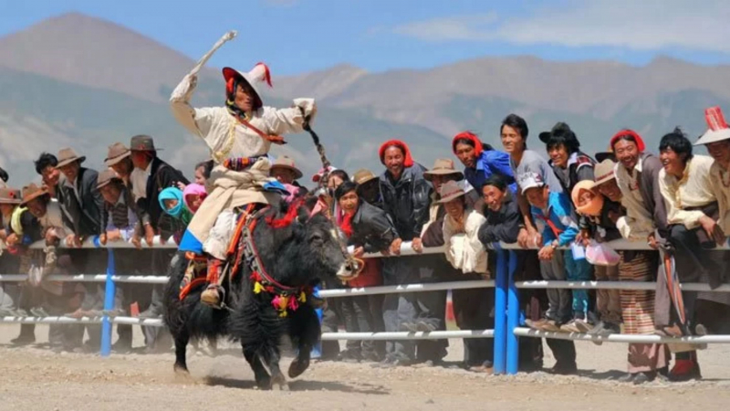 Photo:  Tibet Vista