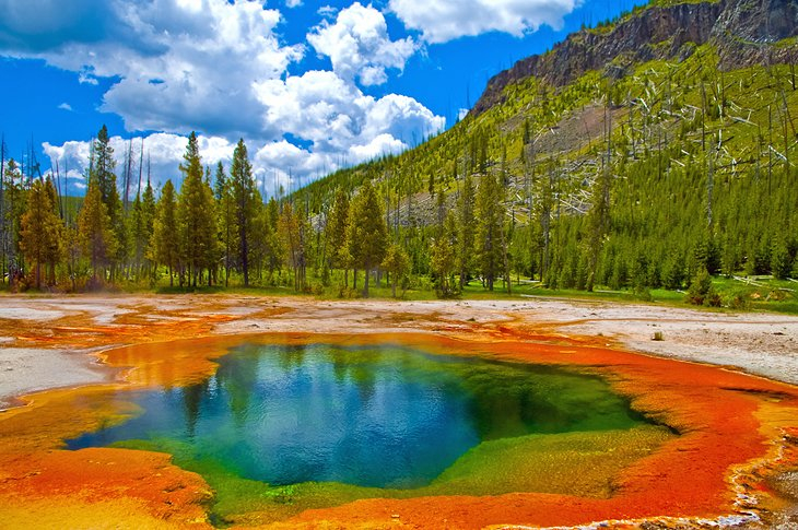 Yellowstone National Park. Photo: planetware.com