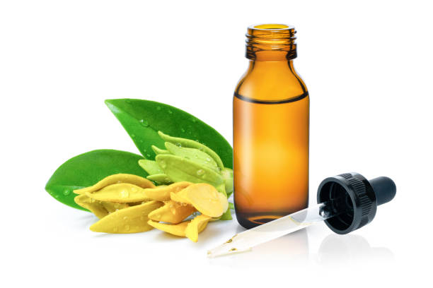 Ylang-ylang essential oil