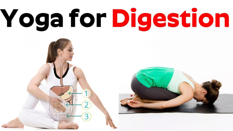 Top 6 Yoga Poses For Better Digestion