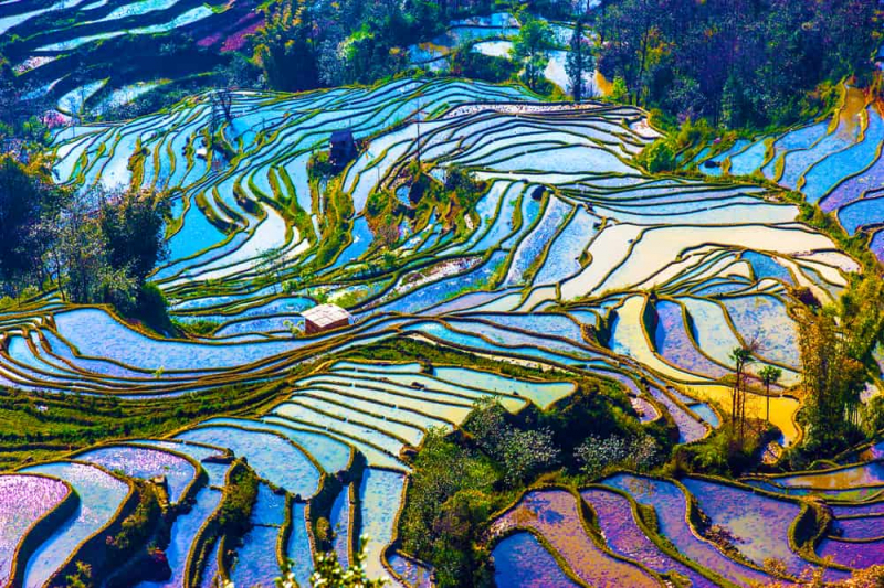 Yuanyang Rice Terraces