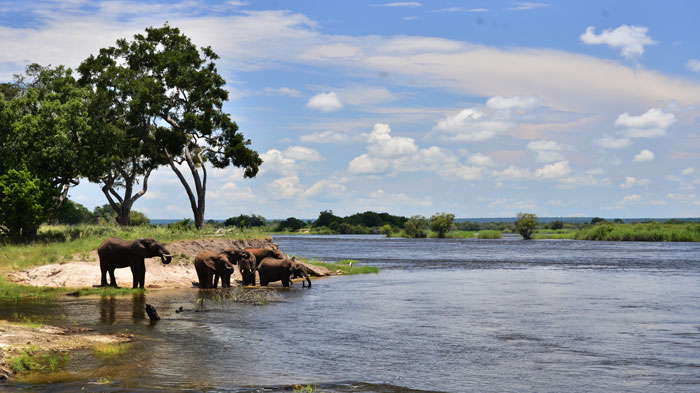 Photo: Victoriafalls-guide