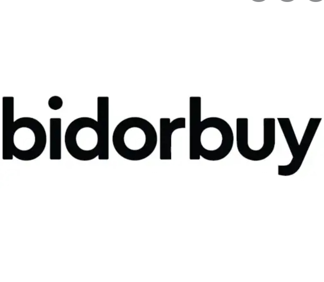 bidorbuy logo