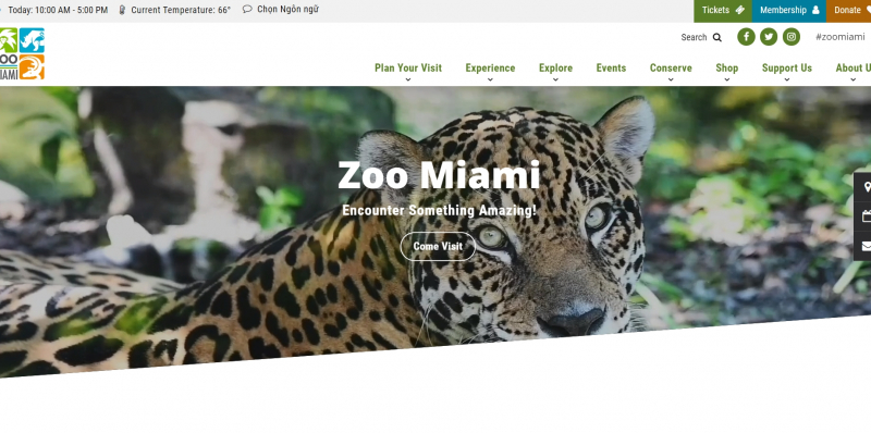 Zoo Miami,https://www.zoomiami.org/