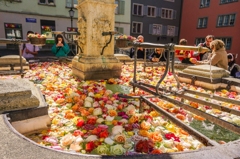 The Fabulous Rose Filled Fountains Of Zurich - www.ourswissexperience.com